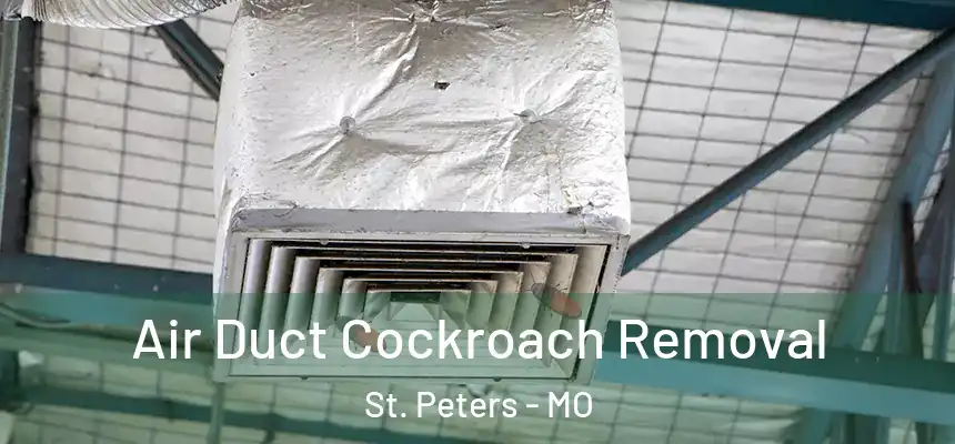  Air Duct Cockroach Removal St. Peters - MO