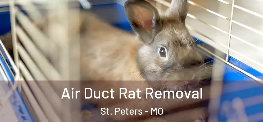Air Duct Rat Removal St. Peters - MO