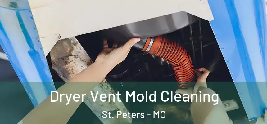 Dryer Vent Mold Cleaning St. Peters - MO