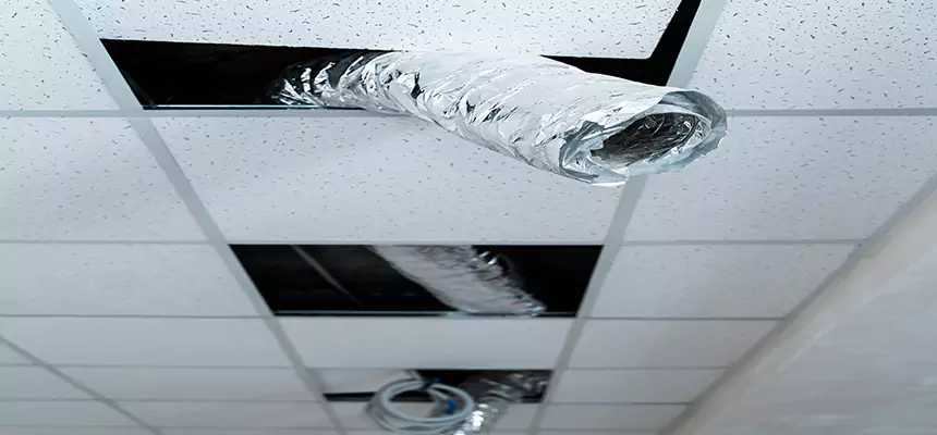 Our Air Duct Pet Hair Removal Services in St. Peters, MO