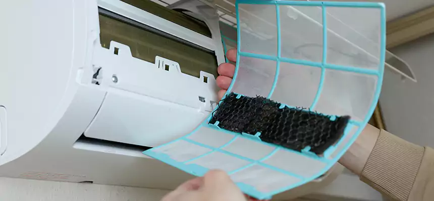 Gentle Ductwork Odor-Control Pet Dander Duct Cleaning in St. Peters, MO