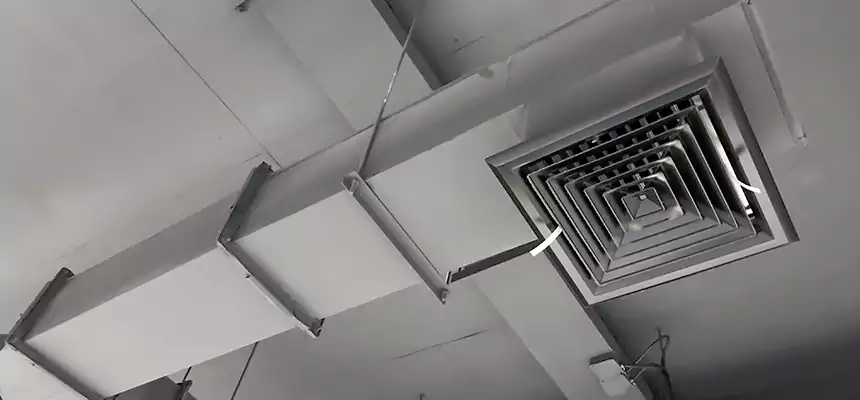 Our Rodent Droppings In Vents Services in St. Peters, MO