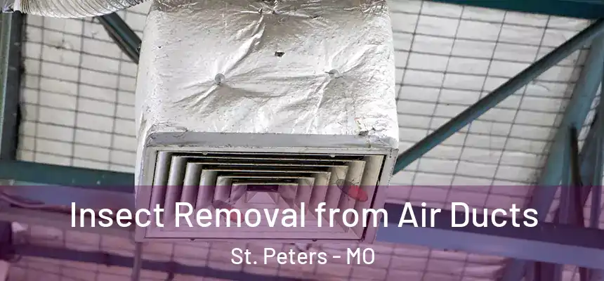  Insect Removal from Air Ducts St. Peters - MO