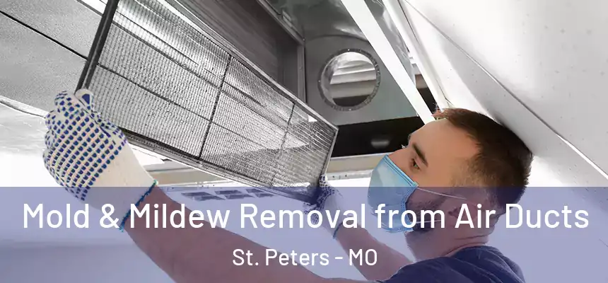  Mold & Mildew Removal from Air Ducts St. Peters - MO