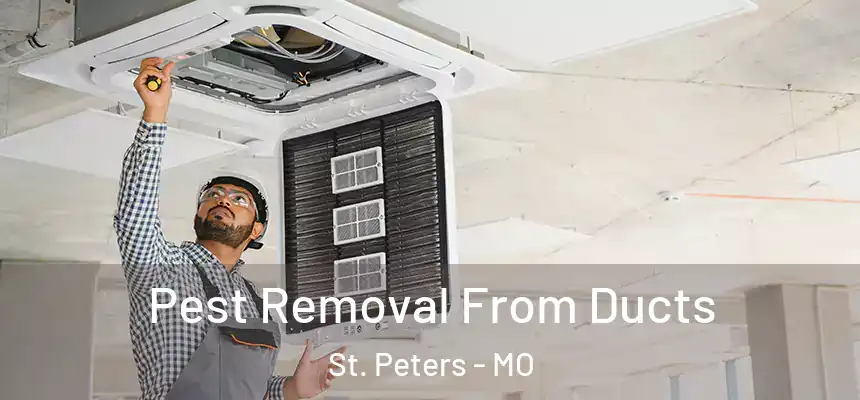  Pest Removal From Ducts St. Peters - MO