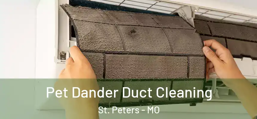  Pet Dander Duct Cleaning St. Peters - MO
