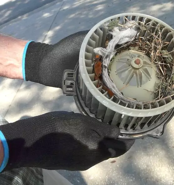 About Air Duct Rat Removal in St. Peters, MO