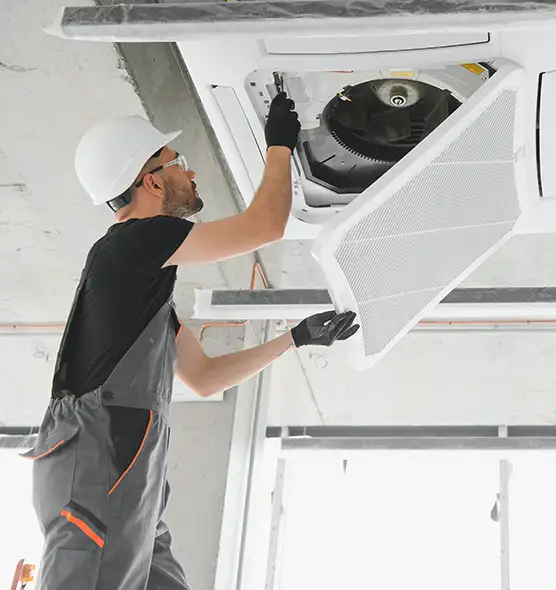 About Air Duct Rodent Removal in St. Peters, MO