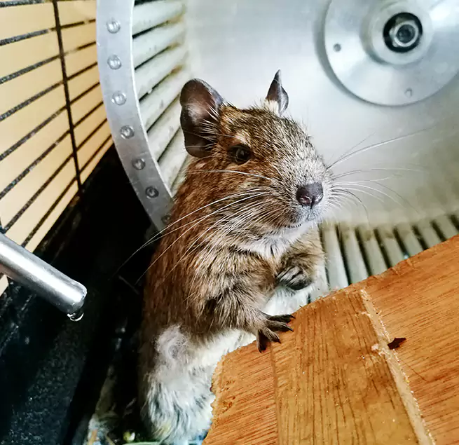 Why Homeowners & Businesses Trust Us St. Peters, MO?